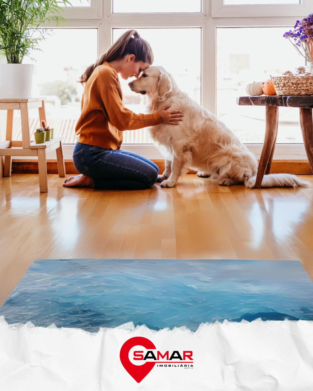 3 dicas para quem tem pet em apartamento
